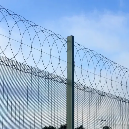 Egoza flat concertina